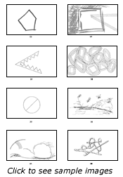 Sample images from the BWAS